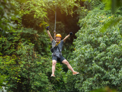 Persona on a zip Wire