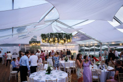 Clear Garden Marquee by Twilight