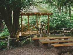 Woodland wedding Venue, in Yorkshire