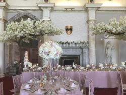 Great Hall Pink Theme