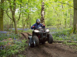 quad