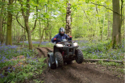 quad
