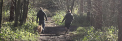 nature-trails