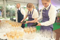 Champagne anyone