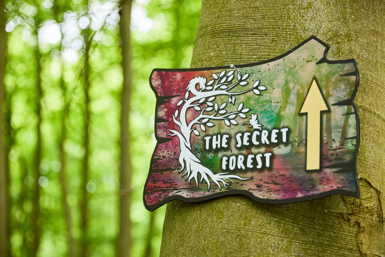 The Secret Forest, Hazlewood Castle