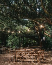 Woodland wedding ceremony