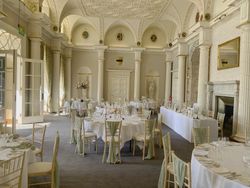Wedding Reception