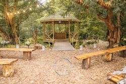 Woodland Ceremony, Hazlewood, Yorkshire