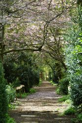 WOODLNAD WALKWAY