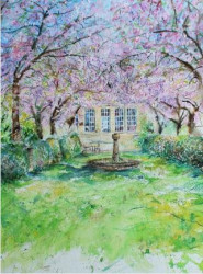 Cherry blossom archway