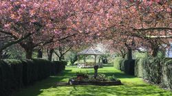 Spring at Hazlewood Castle