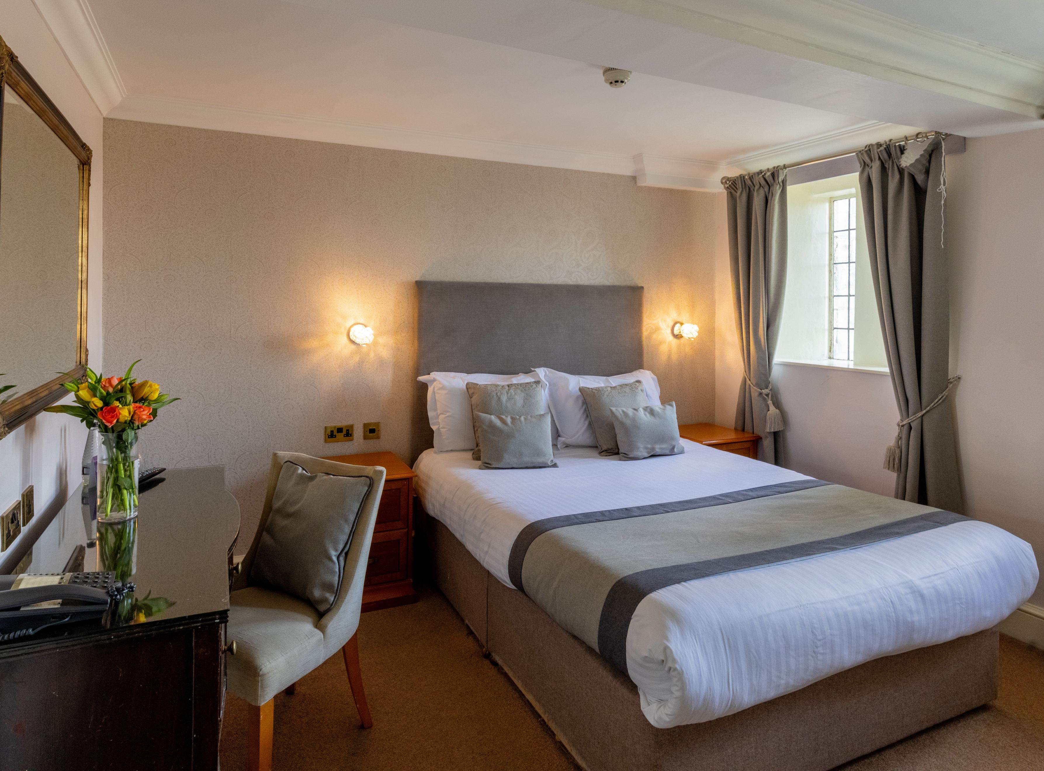 Crocus, Standard Double