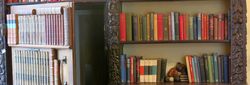Bookshelves filled with old and colorful books, with a secret door partially open among the shelves.