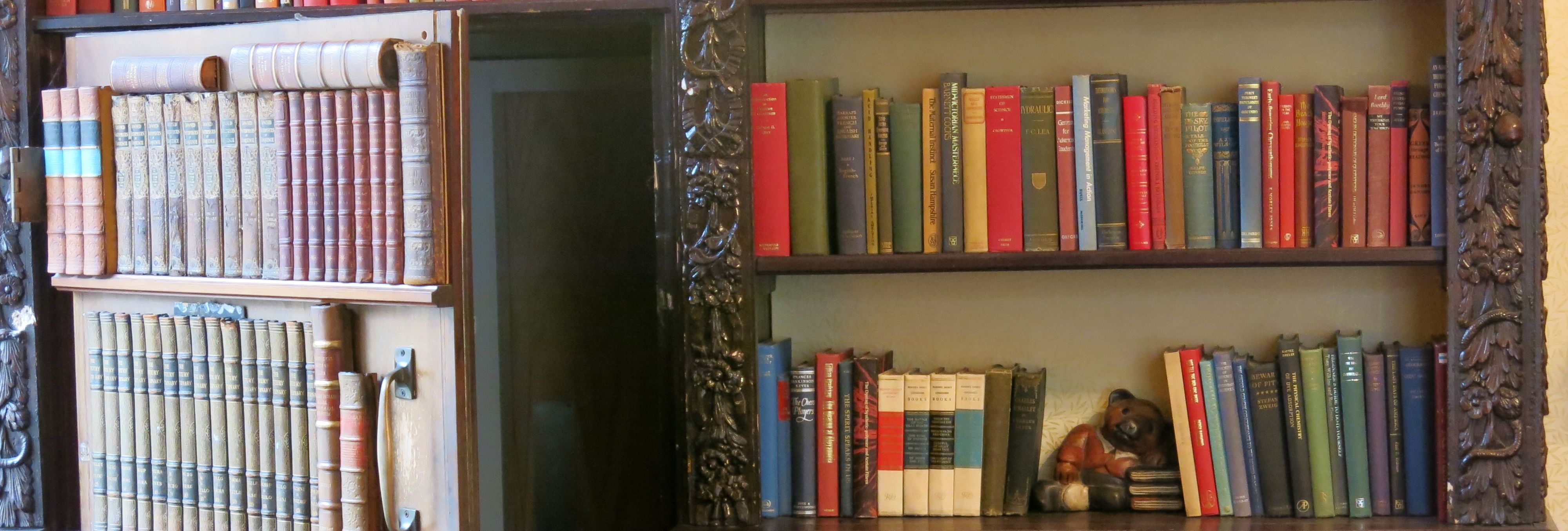 Bookshelves filled with old and colorful books, with a secret door partially open among the shelves.