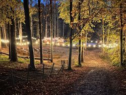 Woodland area decorated with string lights and benches, possibly for an outdoor event or gathering in the evening.