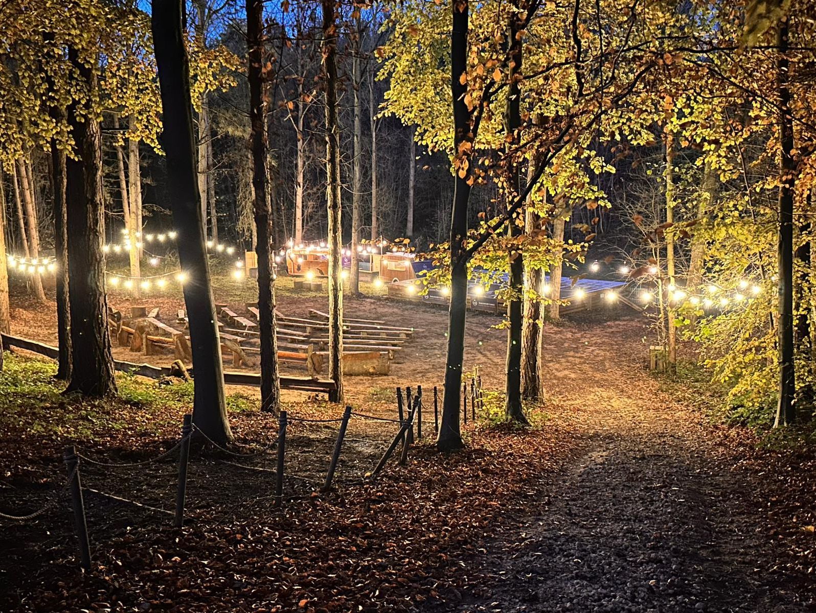 Woodland area decorated with string lights and benches, possibly for an outdoor event or gathering in the evening.