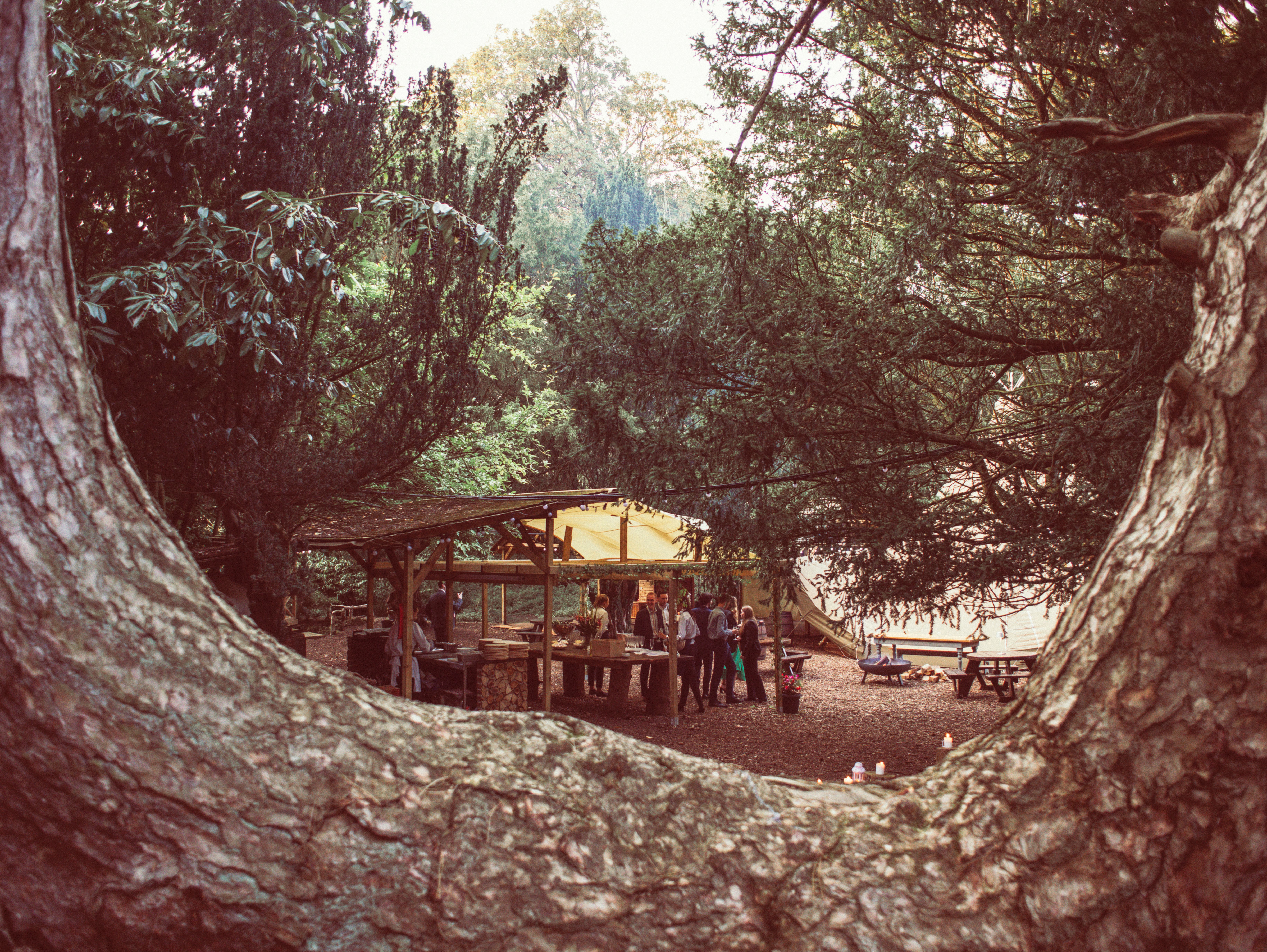 Wedding in the woods