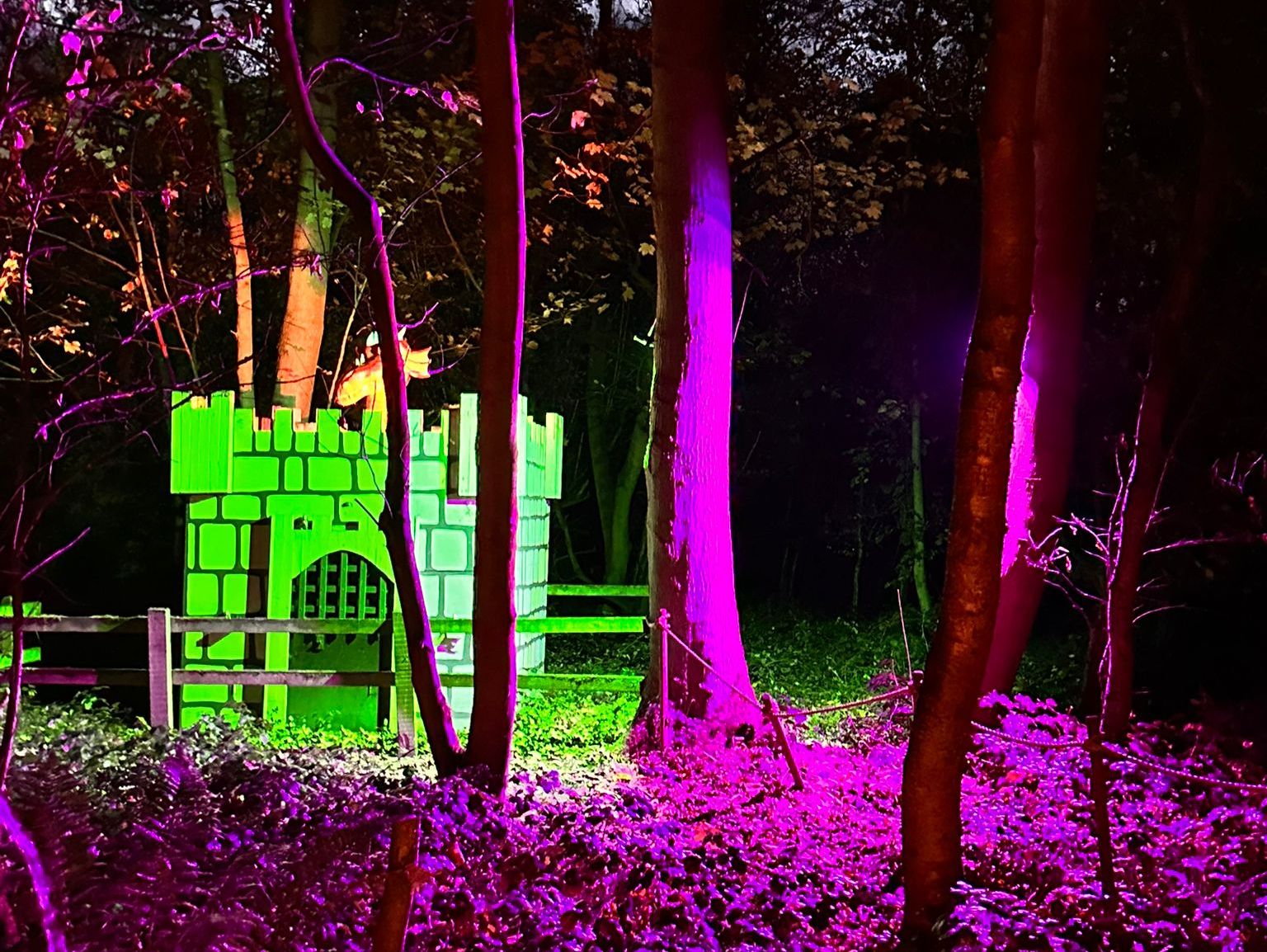 Magical Christmas Experience