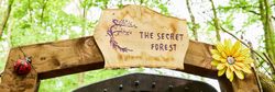 Hazlewood Castle, The secret Forest