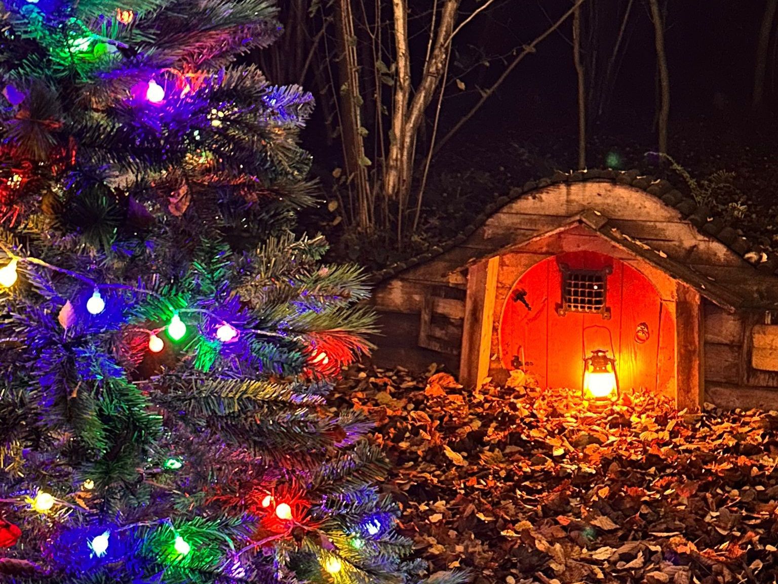 Bogglinton Village, Festive trail