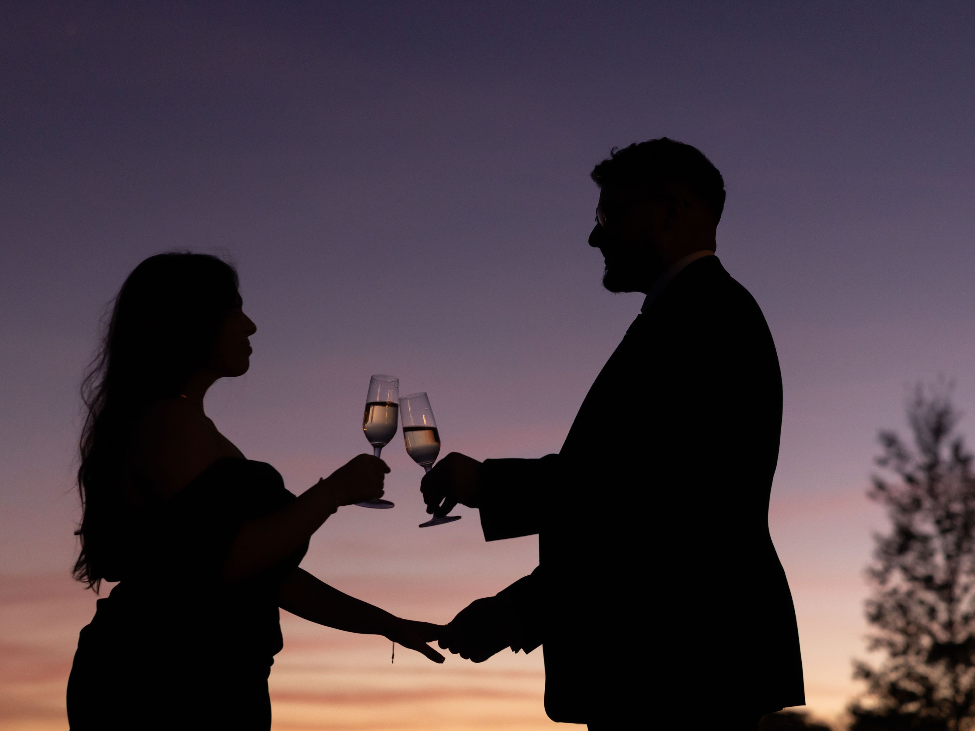 Wedding Proposal by twilight