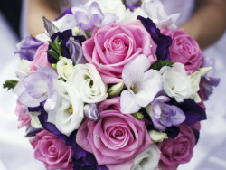 flowers3