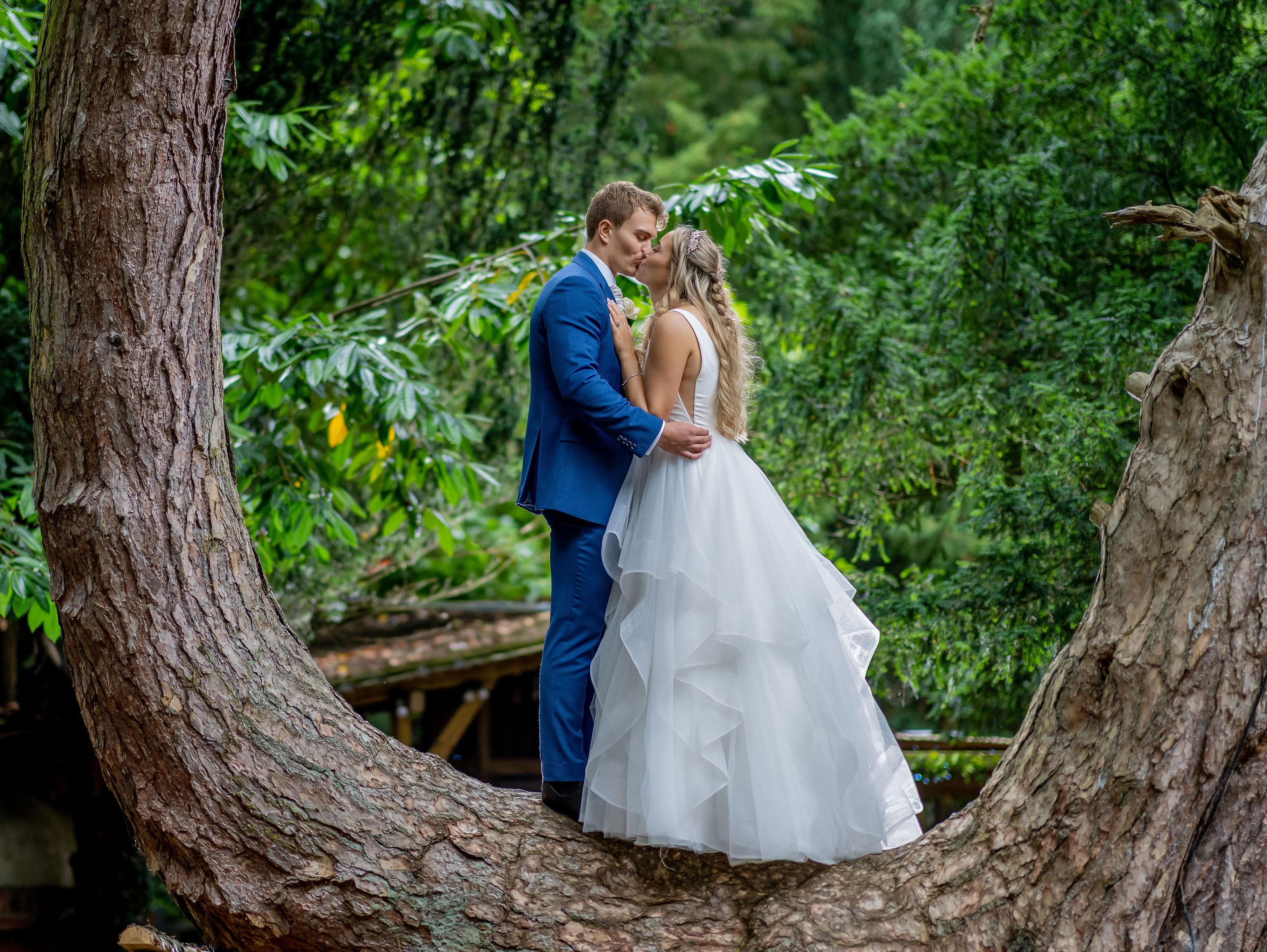 Hazlewood, Photoshoot Packages