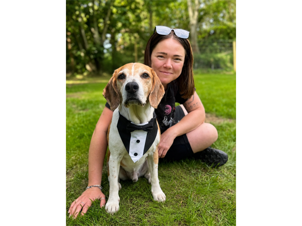 Woman kneeling on grass with a beagle wearing a tuxedo-style harness