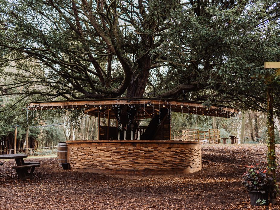 tree_bar_Hazlewood