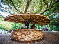 woodland-bar