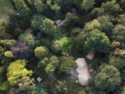 Aerial Woodland