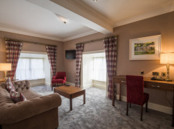 Honeysuckle lounge