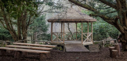 Woodland Wedding Ceremonies