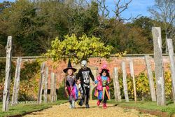 Three children in colorful Halloween costumes walking in a garden, with two dressed as witches and one as a skeleton.