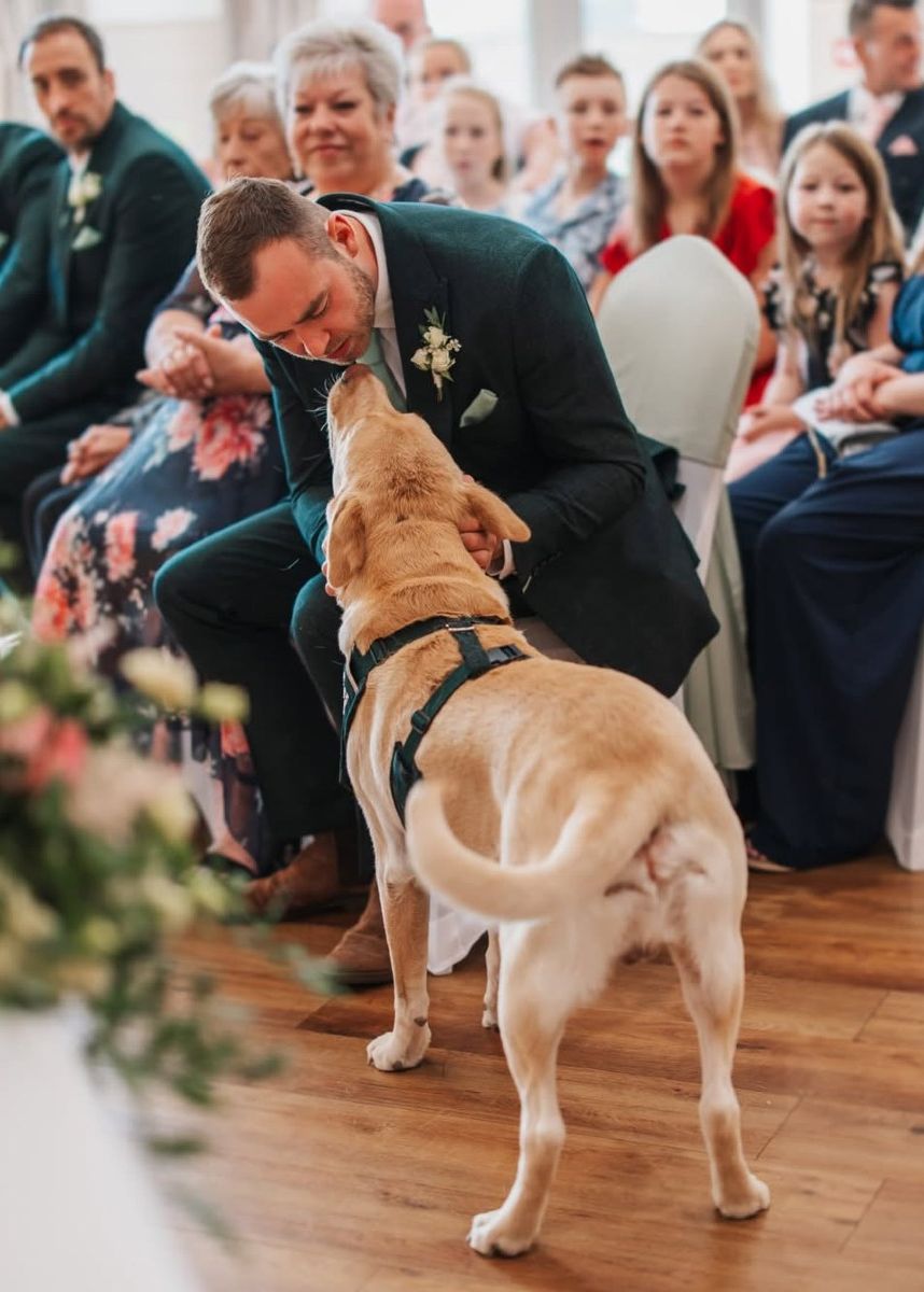 Man in a suit bending down to receive a kiss from a yellow labrador dog at a wedding ceremony.
