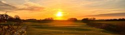 Golf course at sunset with golden sky and green fairways