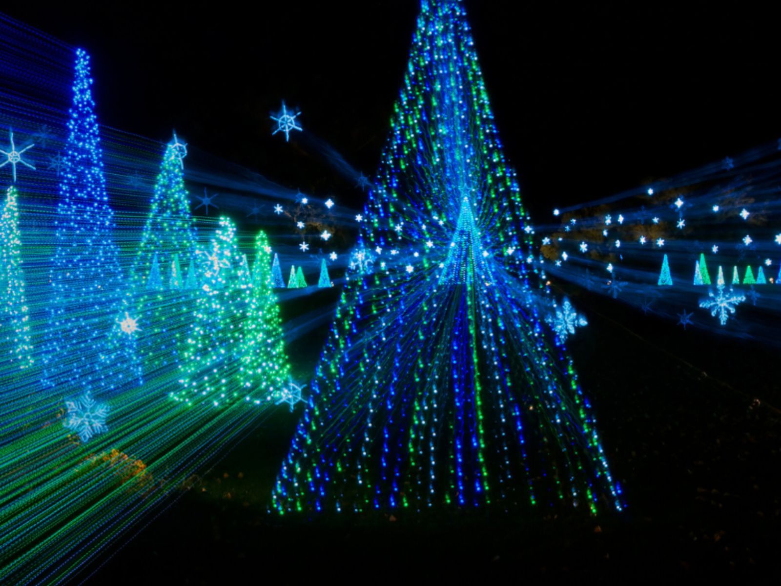 Illuminated Christmas trees and snowflake lights at night