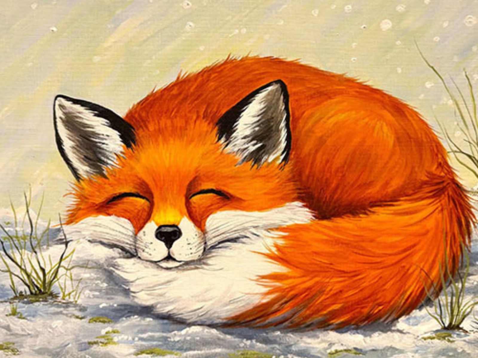 Painting of a curled up fox sleeping in the snow