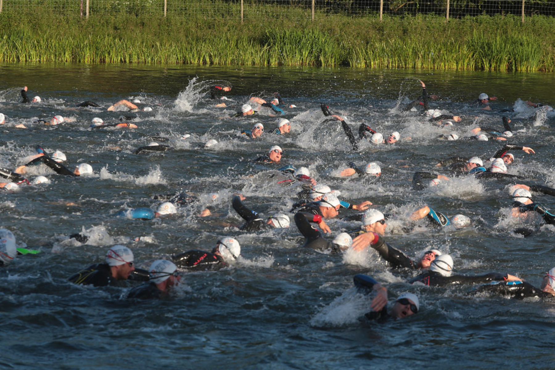 Group of triathletes swimming in open water wearing wetsuits and swim caps