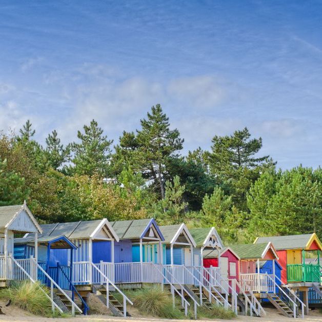 Row of colourful beach huts at Wells-next-the-Sea beneath pine trees and a blue sky