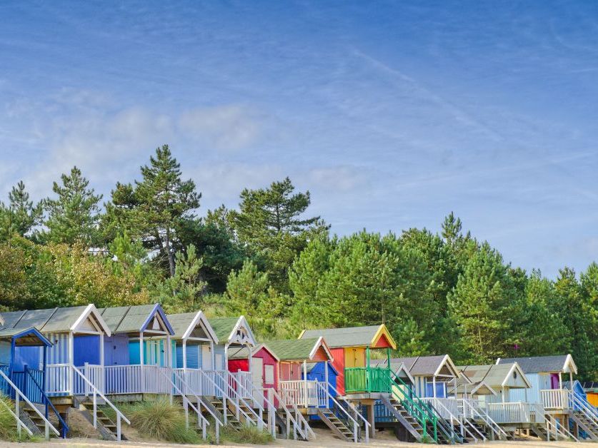 Row of colourful beach huts at Wells-next-the-Sea beneath pine trees and a blue sky