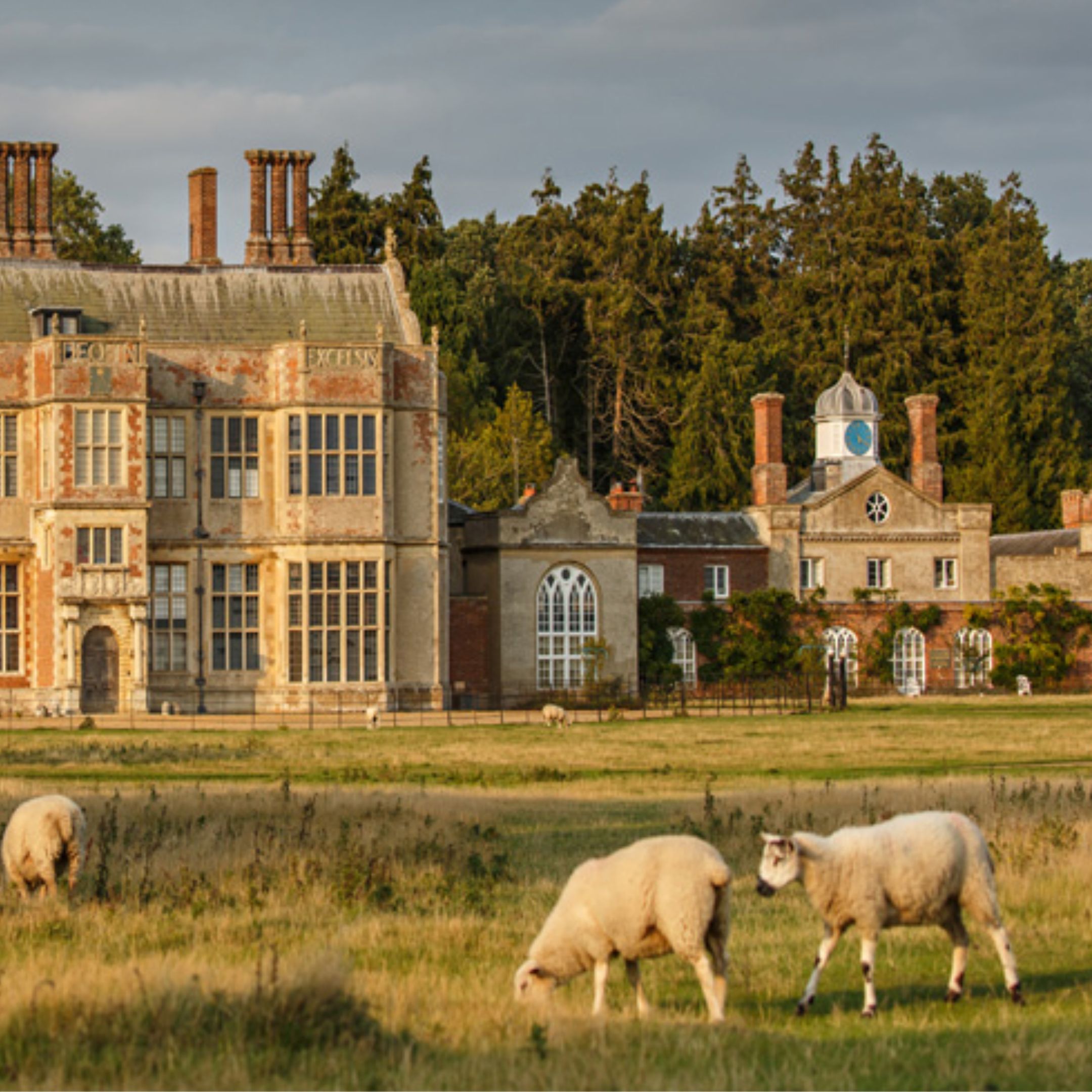 Felbrigg Hall seen across a grassy parkland with grazing sheep, Norfolk