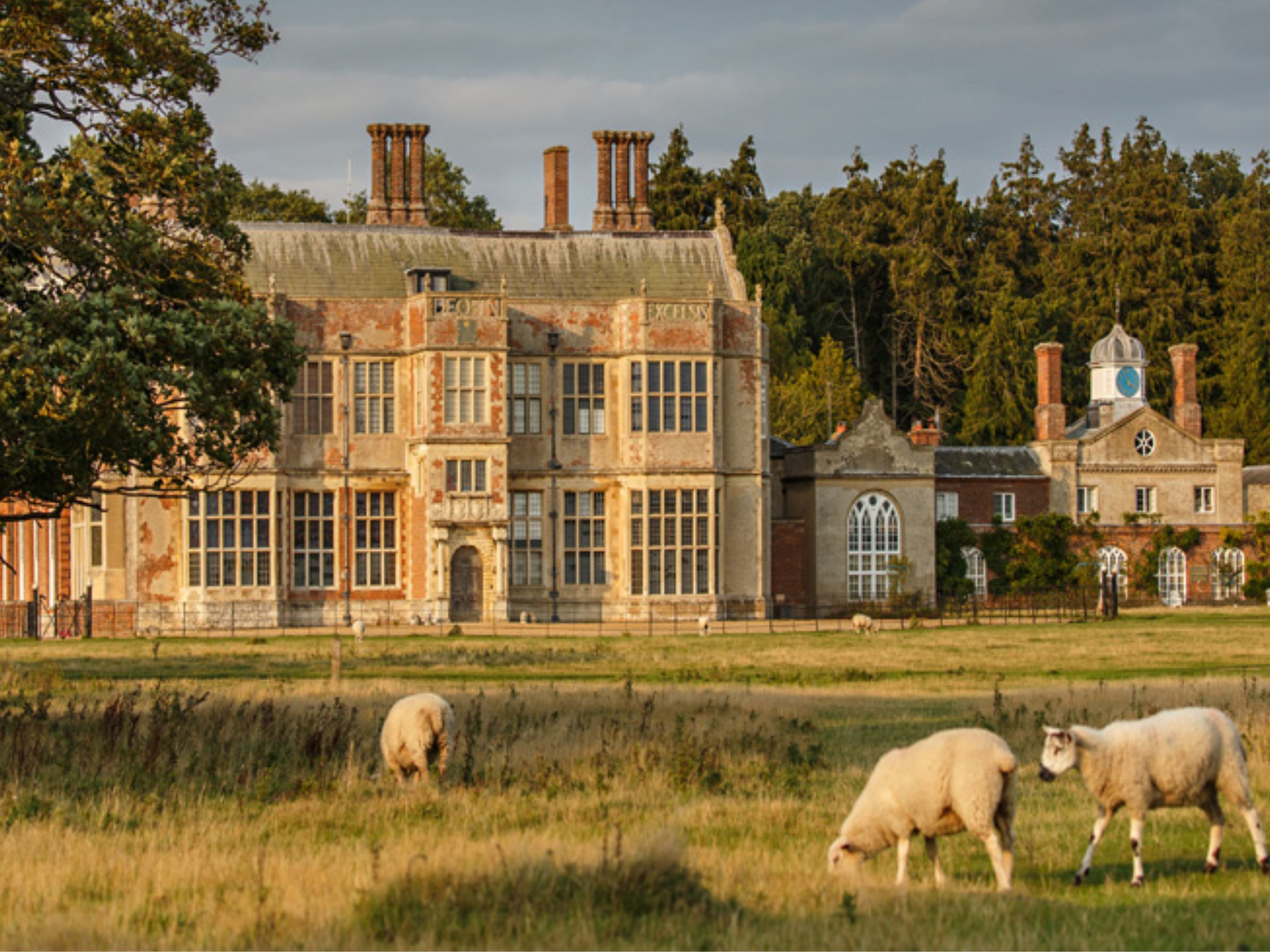 Felbrigg Hall seen across a grassy parkland with grazing sheep, Norfolk