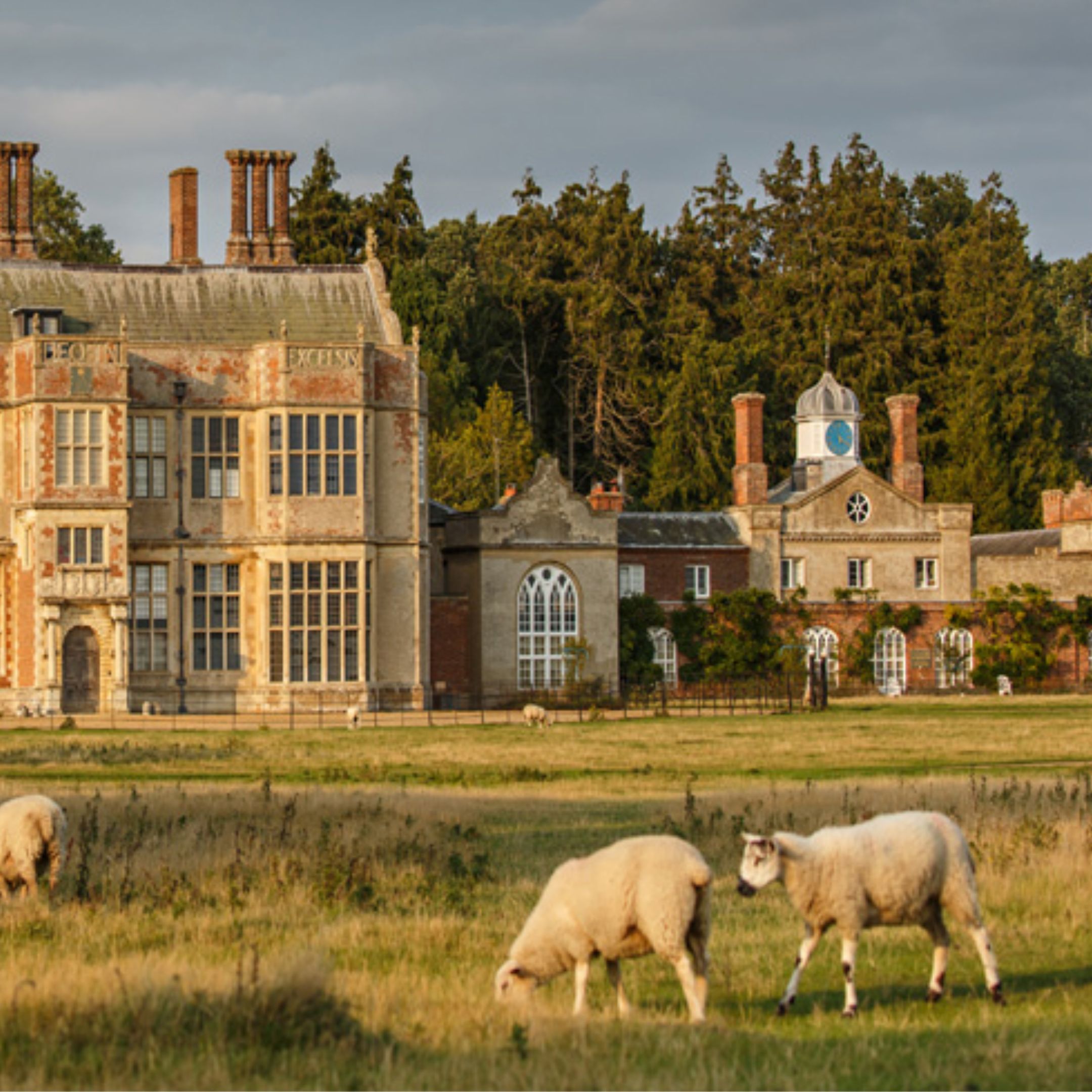 Felbrigg Hall seen across a grassy parkland with grazing sheep, Norfolk