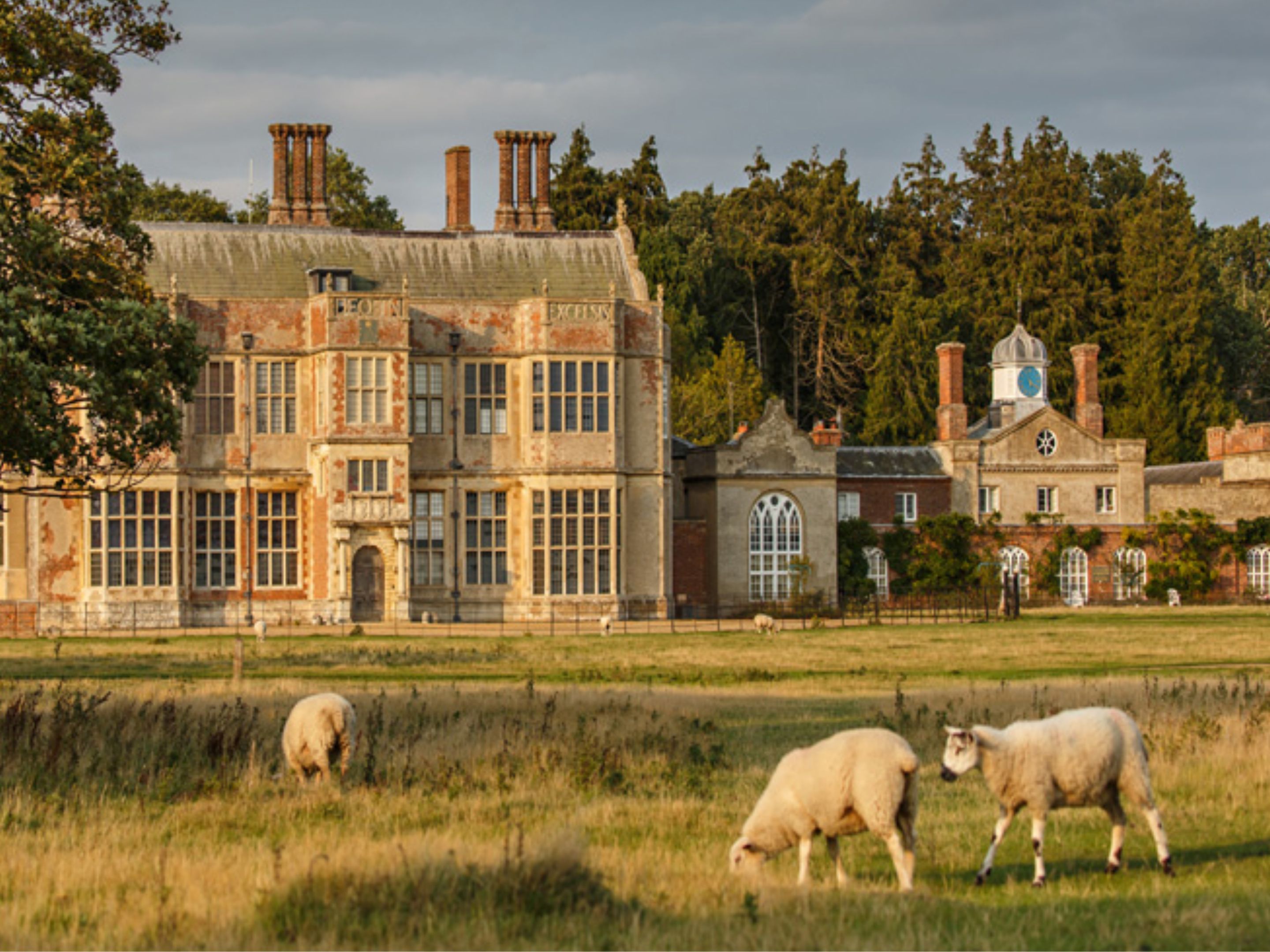 Felbrigg Hall seen across a grassy parkland with grazing sheep, Norfolk