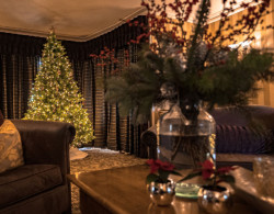 Cosy drawing room decorated for Christmas