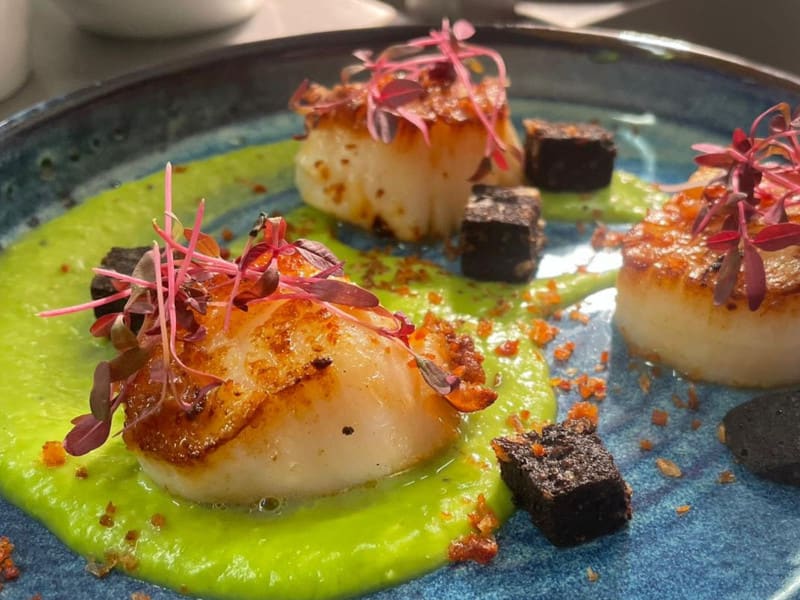 Seared scallops garnished with red cress on pea puree with crispy fried black pudding