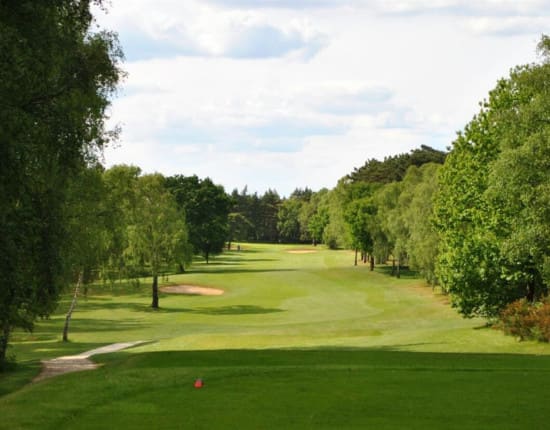 Long stretch of King's Lynn Golf Course bordered by lush woodland.