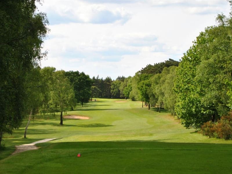 Long stretch of King's Lynn Golf Course bordered by lush woodland.