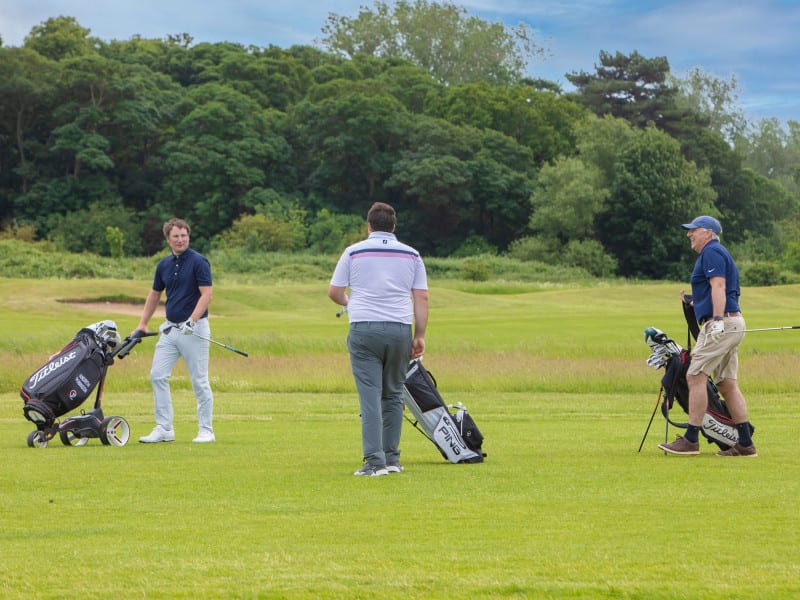 Golfers in Action (1)